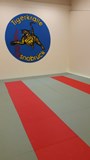 Judo-Court.klein